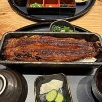 うなぎ四代目菊川 ミッドランドスクエア 名古屋本店 - 