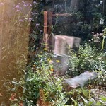 シークレット レストラン カメ - 