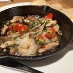 La Cadenza - 