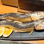 備長炉端 だいやめ - 