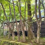 에르미타주 드 타무라 - 