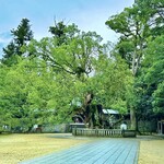 The RESTAURANT - 大山祇神社