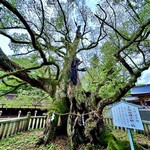 The RESTAURANT - 大山祇神社