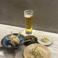 CINA New Modern Chinese - 