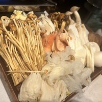 CINA New Modern Chinese - 