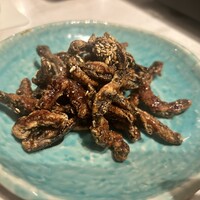 CINA New Modern Chinese - 