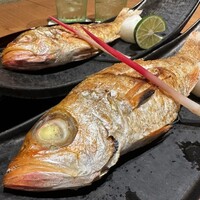 のどぐろ専門店 赤坂 かなめ - 