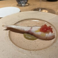 マンサルヴァ - 