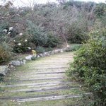 櫻櫻 - 通路にも風情がある