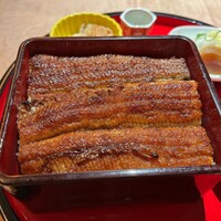 炭焼 うな富士 有楽町店 - 