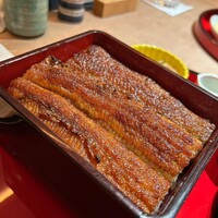 炭焼 うな富士 有楽町店 - 