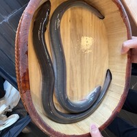 銀座 四代目 高橋屋 銀座店 - 