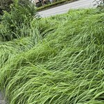 焼きもの家 慶 - 