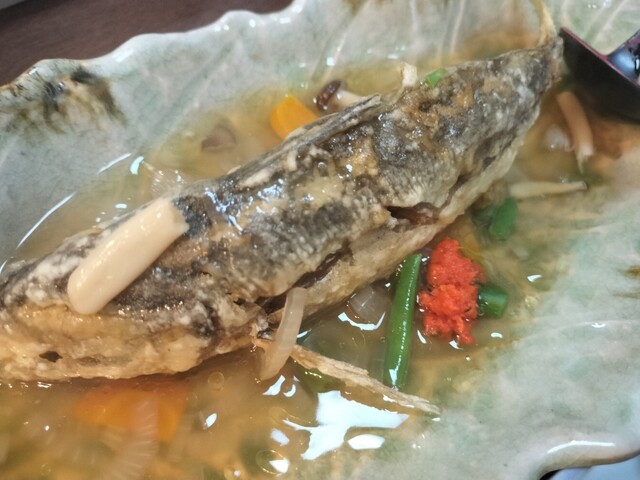 Midori Zushi photo 5