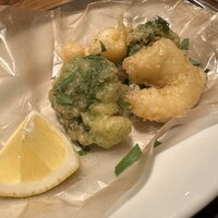 Rojoc - 