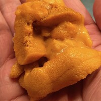 鮨処うえの - 