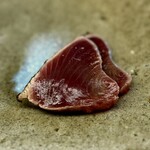 鮨おばな - かつお