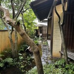 温石 - 手入れの行き届いたお庭