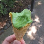 ますだ茶舗 - コーンの中まで抹茶！(2024.9.7)