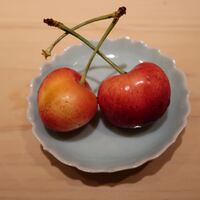黒杉 - 