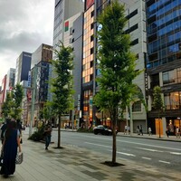 トラットリアイタリア 銀座店 - 