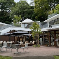 Loiseau de France - 