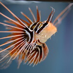 宮城野 - 行ってきましたですよ～