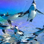 宮城野 - 見上げる分にはまだ夏なんだけど、もう確実に秋の空気ですね