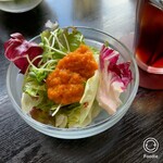 田舎カフェ オーチャード - サラダ
