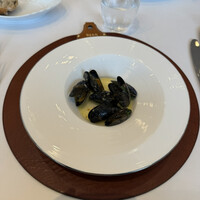 REGA STRADA - 