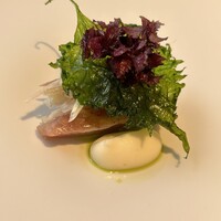 restaurant.m - 初カツオ☆
