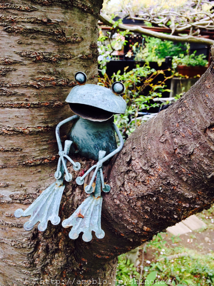 cafe kaeru （カフェ カエル） - 鎌倉/カフェ | 食べログ