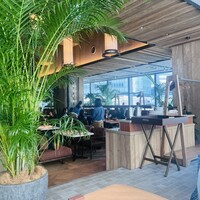BLUE YARD - 