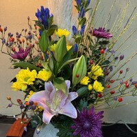 駒形前川 浅草本店 -  駒形前川 浅草本店 -