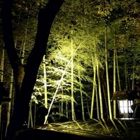黒茶屋 - 
