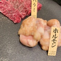 niku no OTO - 