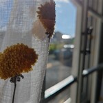 カフェ ベルク - 