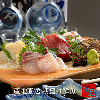 産地直送の朝獲れ鮮魚、旬と四季を感じる創作和食