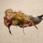 ヒカリヤ ニシ - 