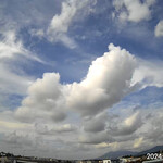 インデアンレストラン  ニューミラ - 