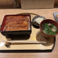うなぎ 目白ぞろ芽 - 