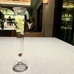 茶禅華 - 2024.9.  生茉莉茶