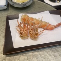 天冨良 よこ田 - 