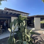 アプテカ フレーゴ - お店の雰囲気がたまらない。非日常感。