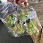 里の駅 いちのみや - 