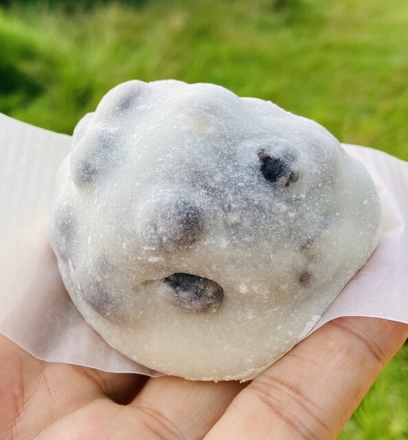 和の菓子たけだ - 安積永盛（和菓子）の写真