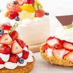 ARROW TREE - メイン写真: