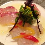 ラ スフォリーナ - 熊本は天草からの魚　新鮮カルパッチョ