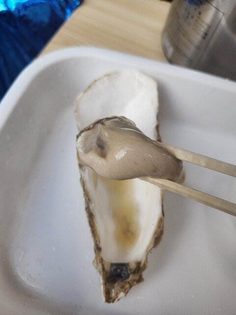 Tsukiji Saito Suisan photo 4