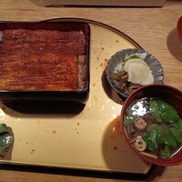 うなぎ 目白ぞろ芽 - 